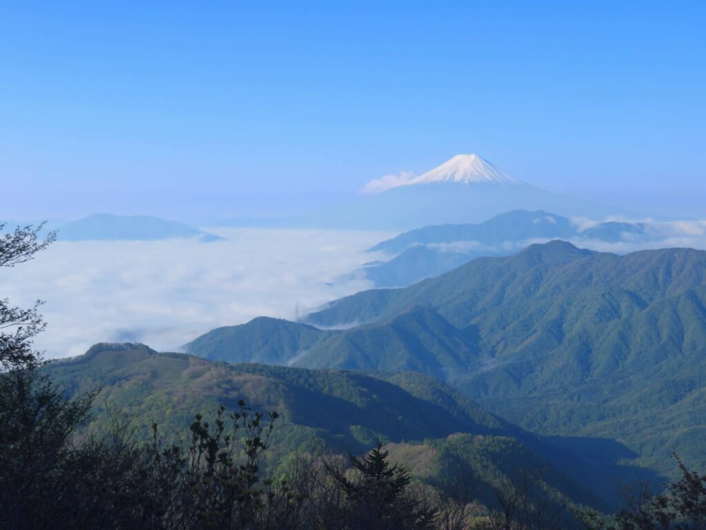 こんな綺麗な富士山は初めて🥰