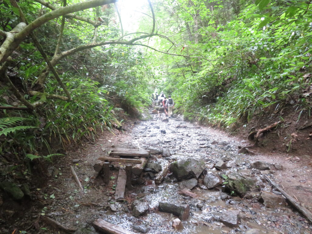 六号路
