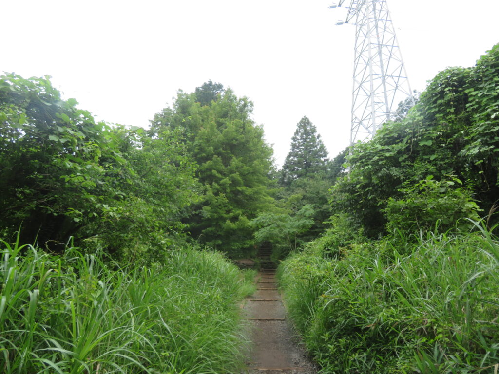 いつもの撮影場所