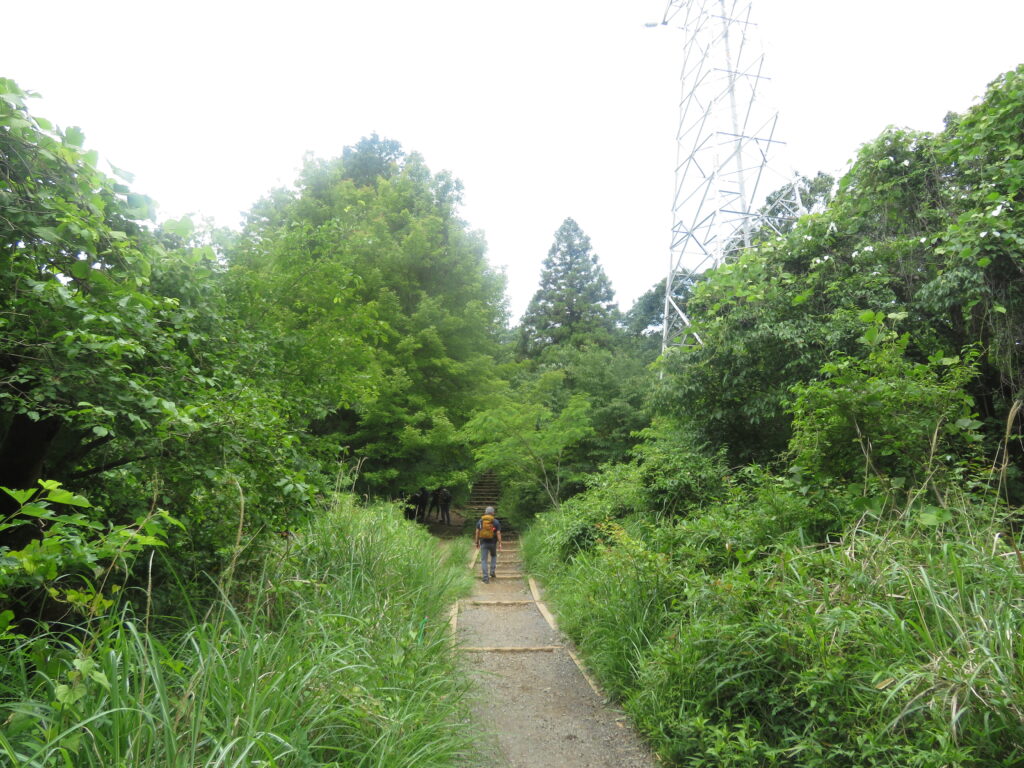 いつもの撮影場所