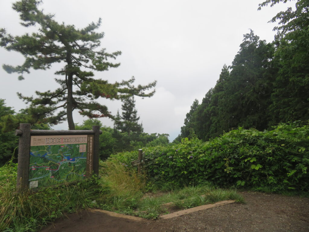 富士山方面も真っ白・・・