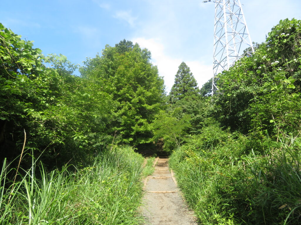 いつもの撮影場所