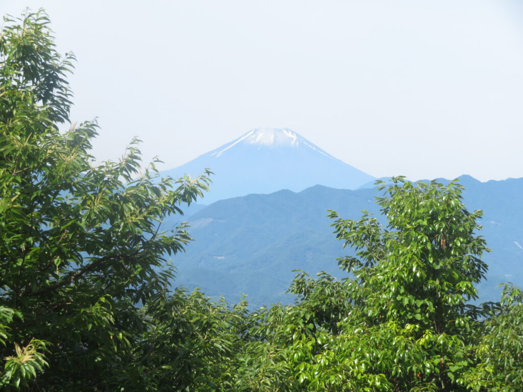 一丁平展望台
ここから富士山見えたの久しぶり