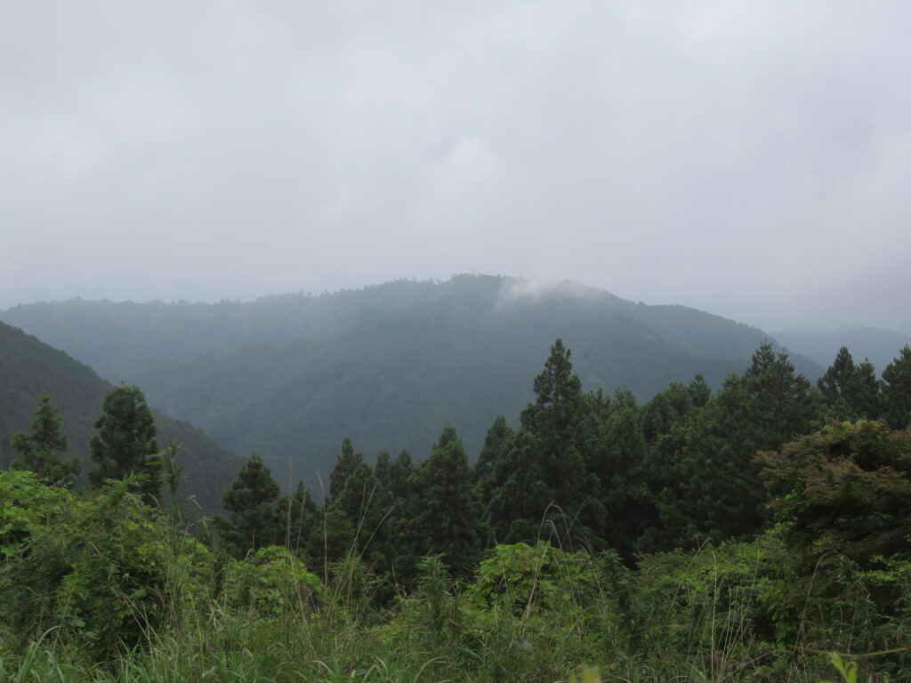 高尾山方面