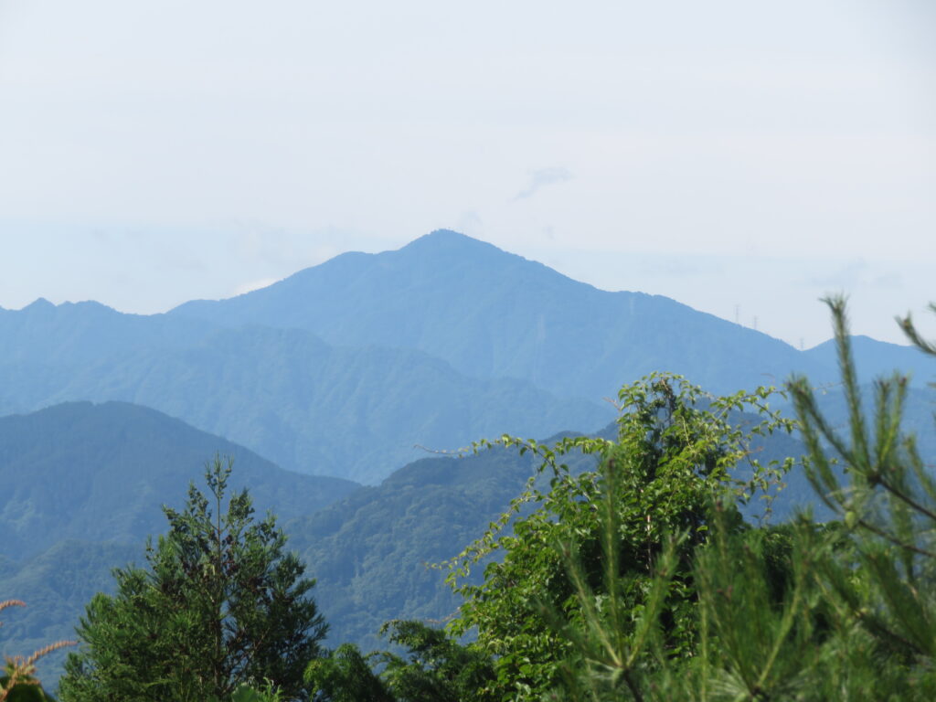 丹沢大山も綺麗