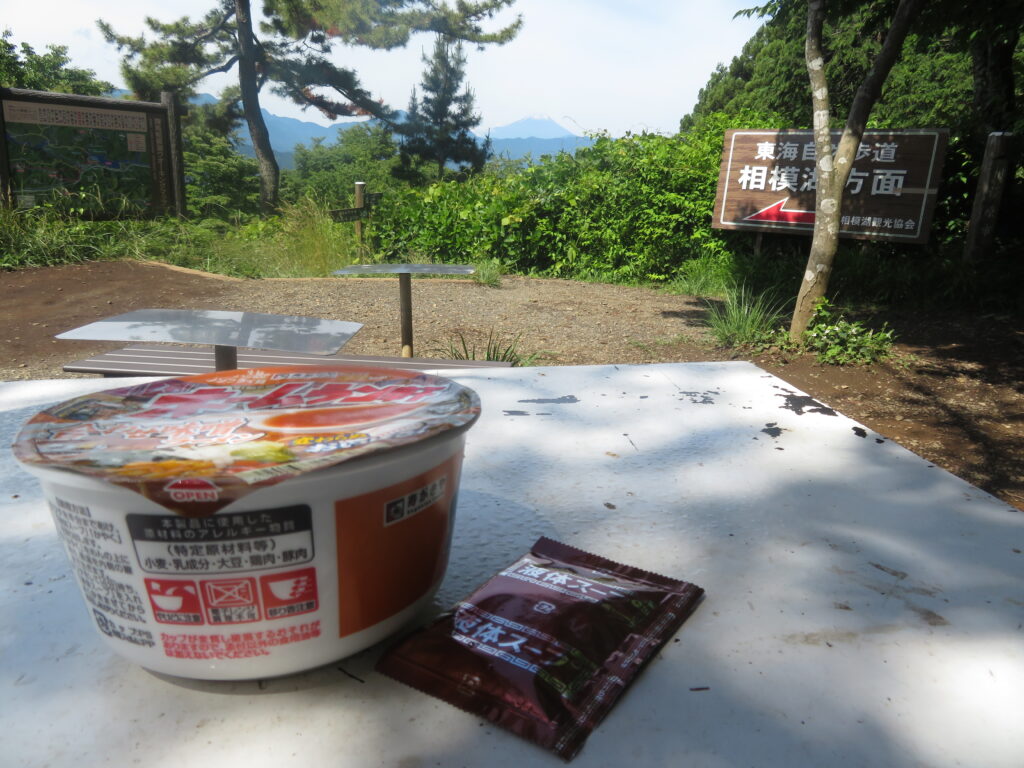 いつものランチ
(今日は富士山側のベンチ)