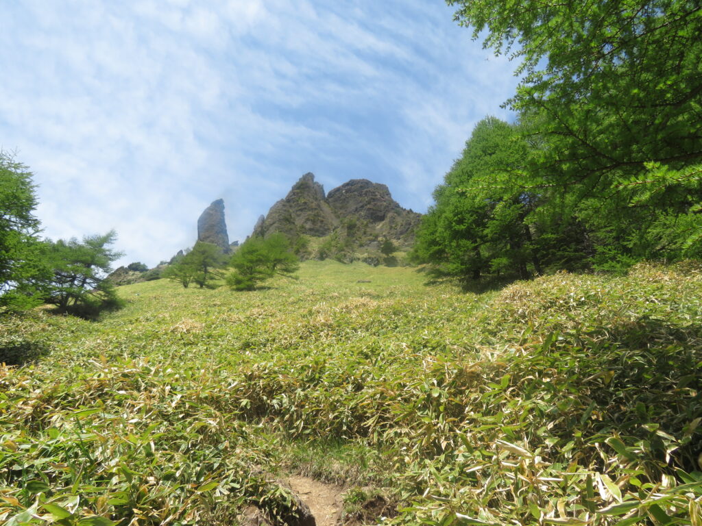 しばらくは気持ちいのいい道ですが、
最後はしんどかった・・・