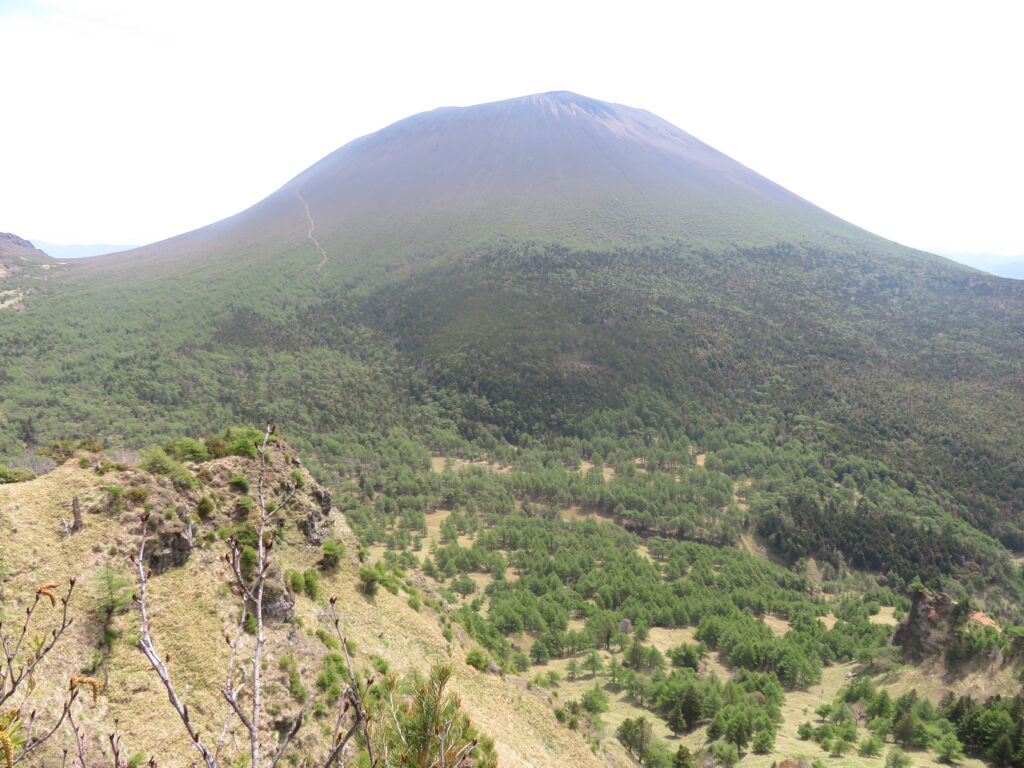 見事な浅間山！