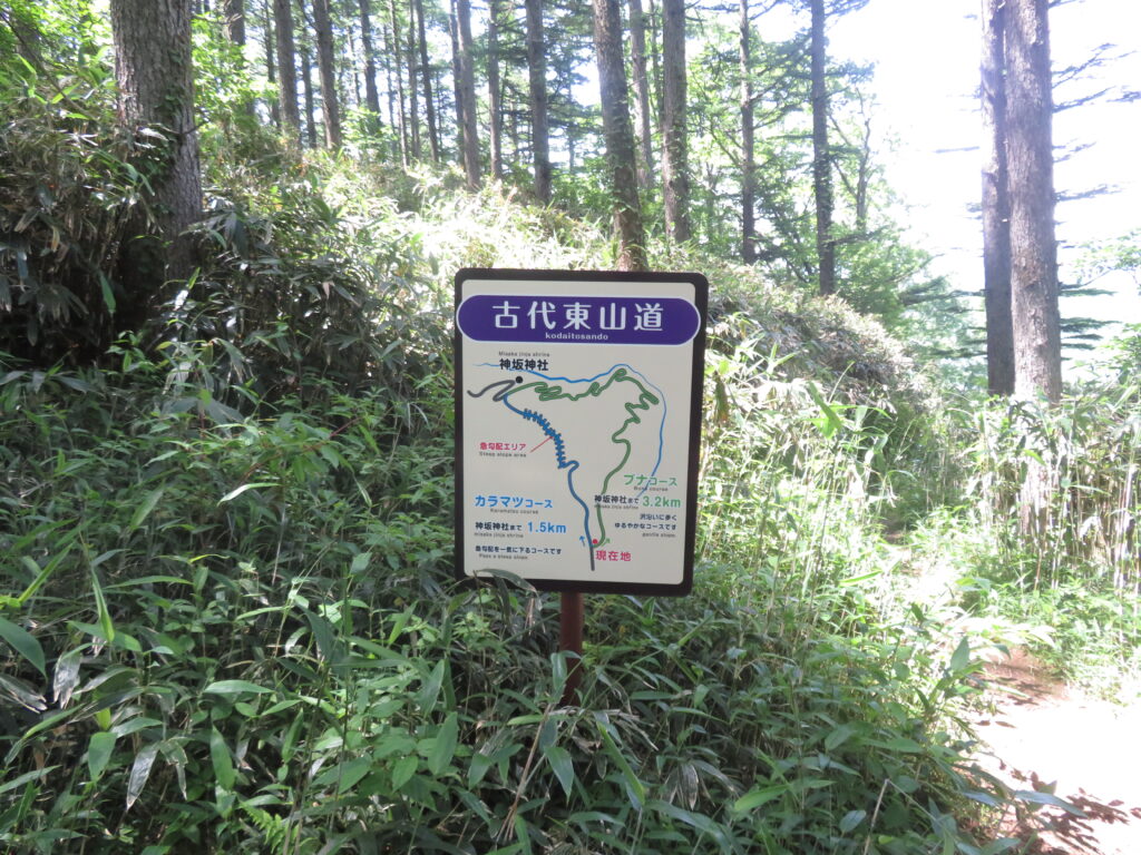 登りはカラマツコース
下りはブナコース
ブナコースがオススメです