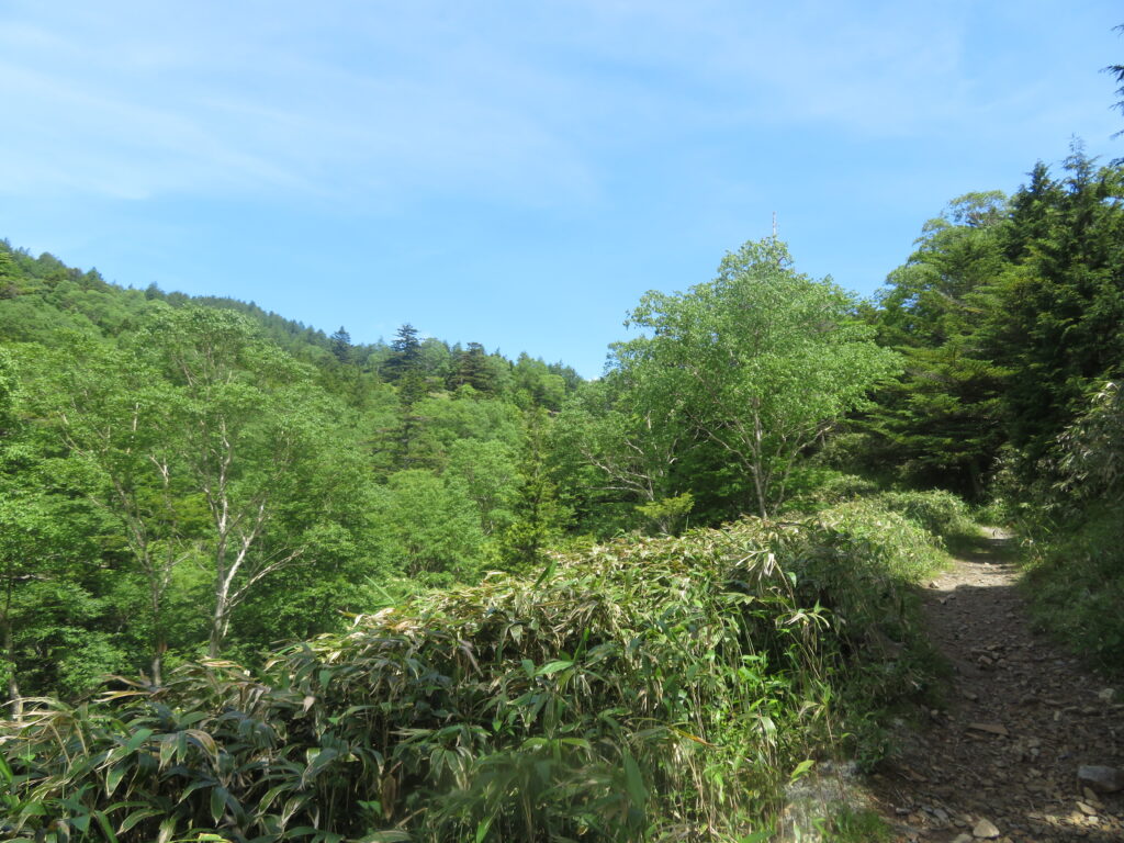 樹林帯を抜けて景色がよくなりました