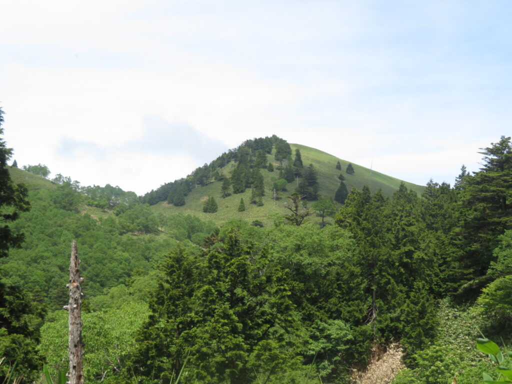 神坂山
帰りに寄り道をして登りました