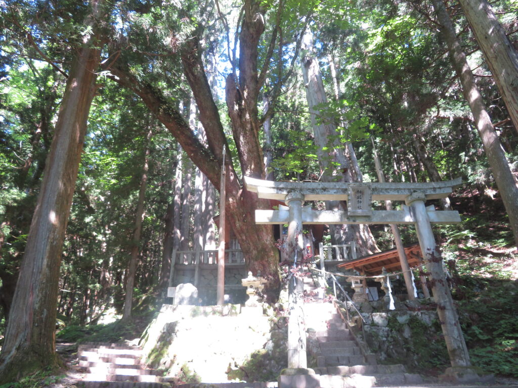 神坂神社
大きな木に囲まれていて厳かな雰囲気です