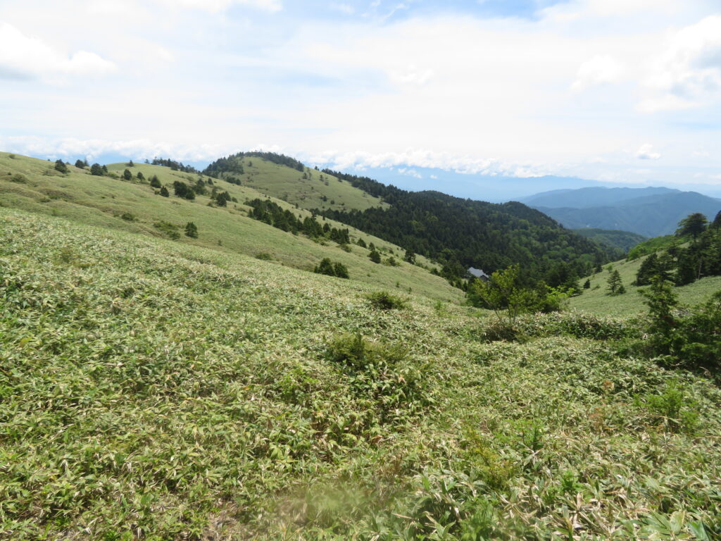 神坂山の下に萬岳荘があります