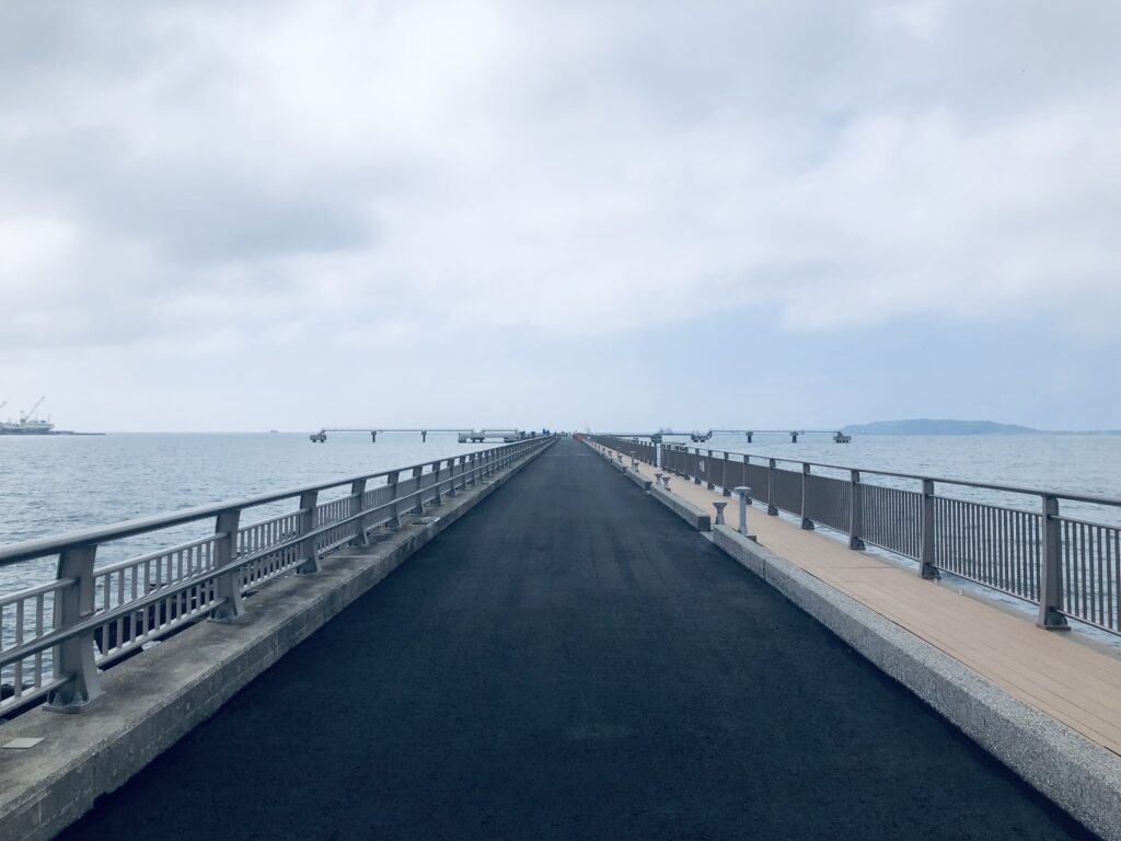 外にでると「館山夕日桟橋」があります
夕方になると綺麗な景色が見れるのかな？