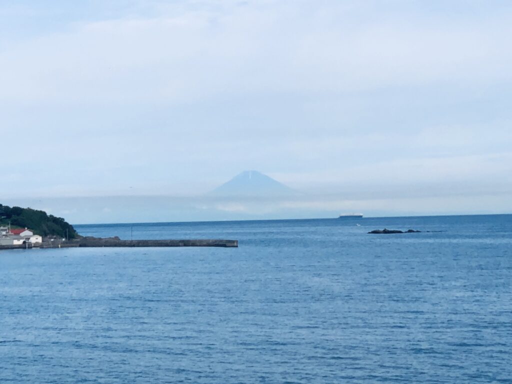 富士山が見えました！
