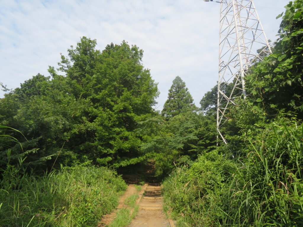 いつもの撮影場所
草がだいぶ伸びましたね