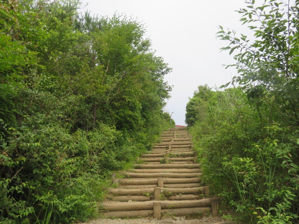立花山荘が見えました!
ここまでが本当にキツイ