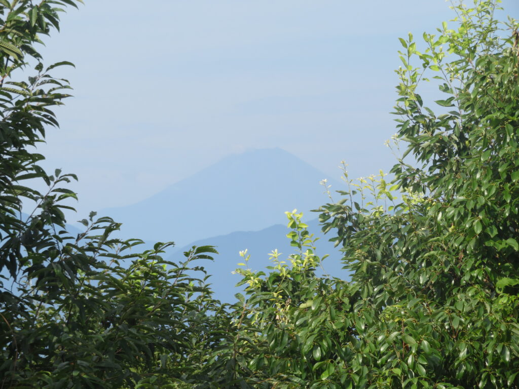 一丁平展望台
うっすらと富士山