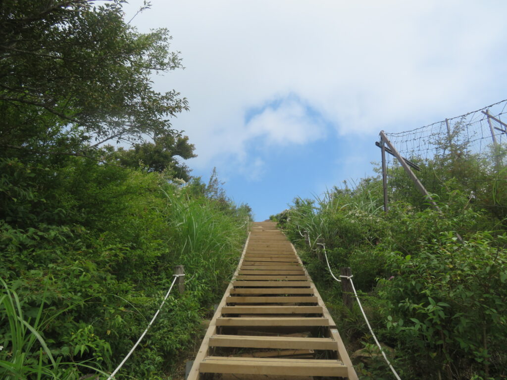 山頂まであと少し!
足は限界です……