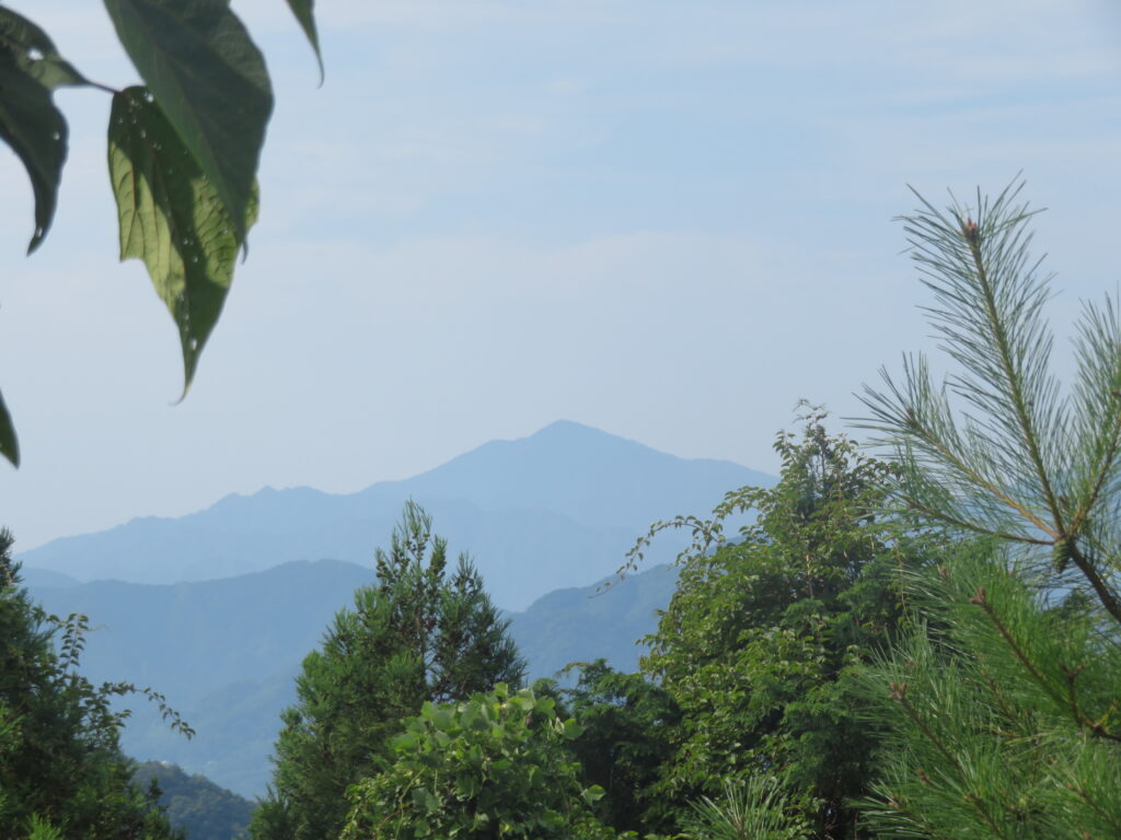 こちらは丹沢大山