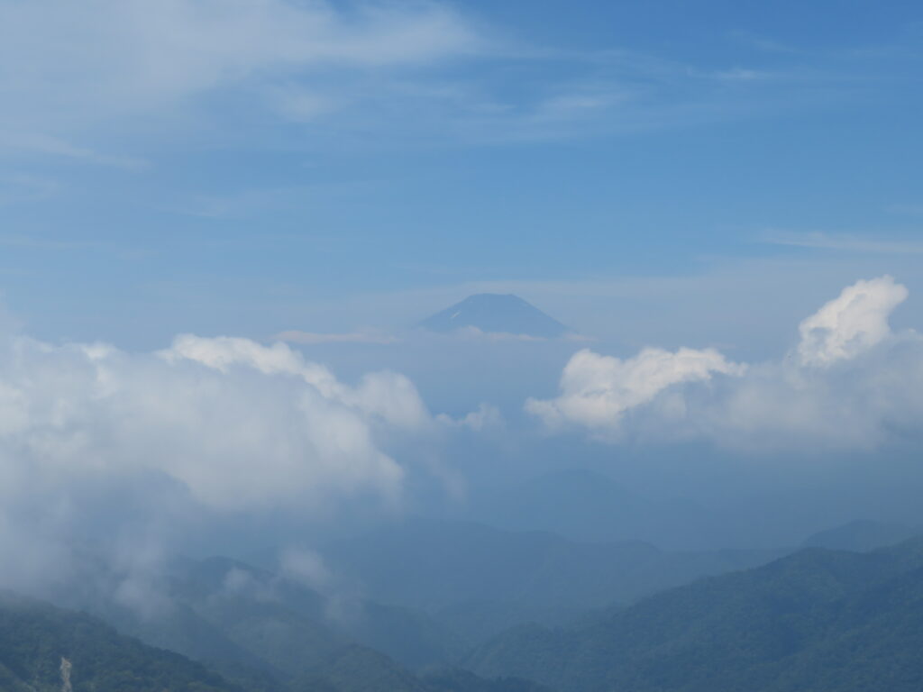 富士山が見えました