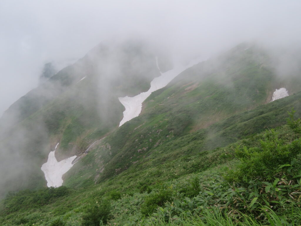 山頂近くは雪渓がたくさんありました