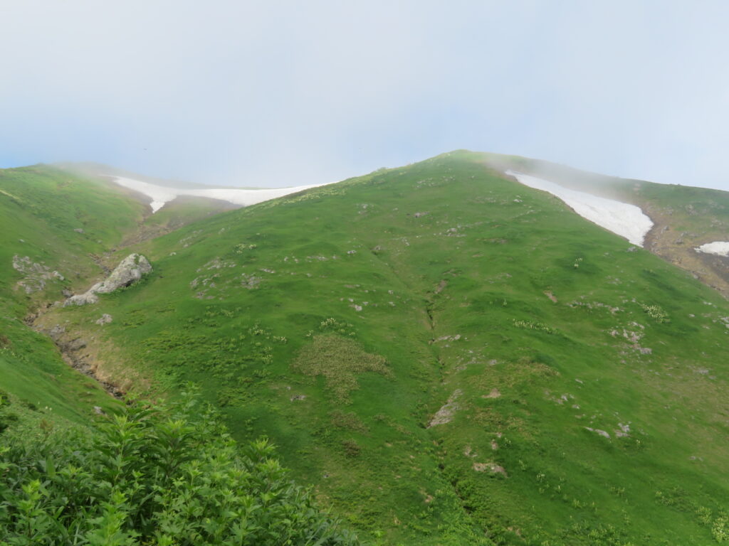 右側が越後駒ケ岳！
駒の小屋からはあと少し