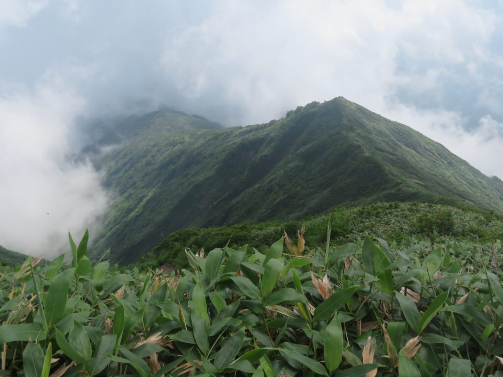 登ってきた尾根を振り返る