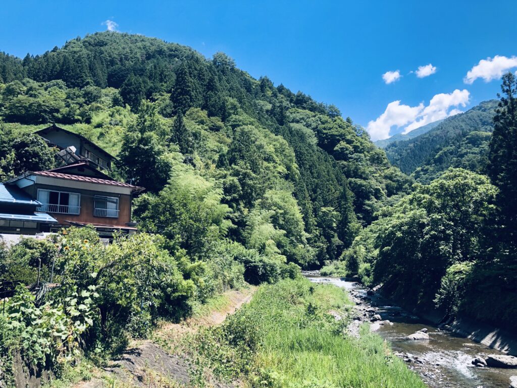 遠山川の支流
山々に囲まれた景色が最高ですね🥰