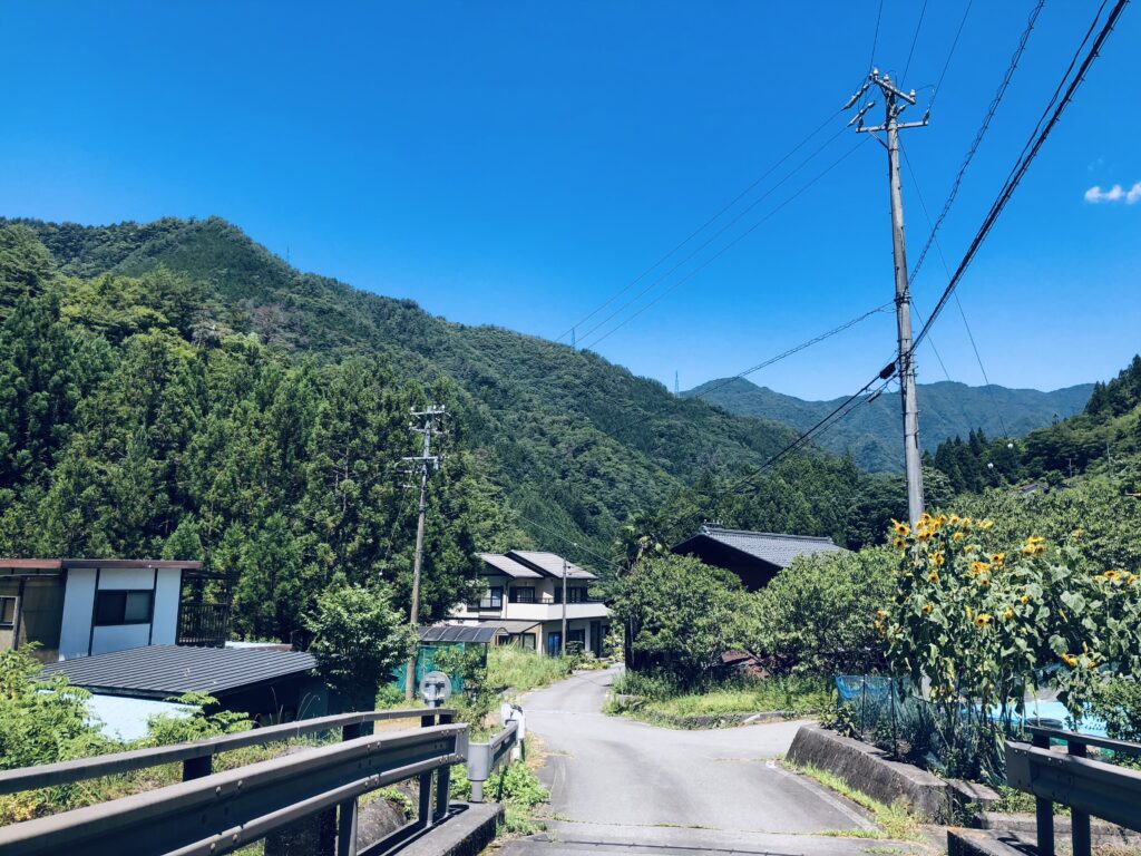 青く澄んだ空が綺麗です！
太陽に照らされて、ひまわりも元気🌻