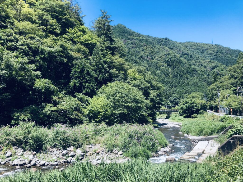 子どもの頃、この川でよく泳ぎました！