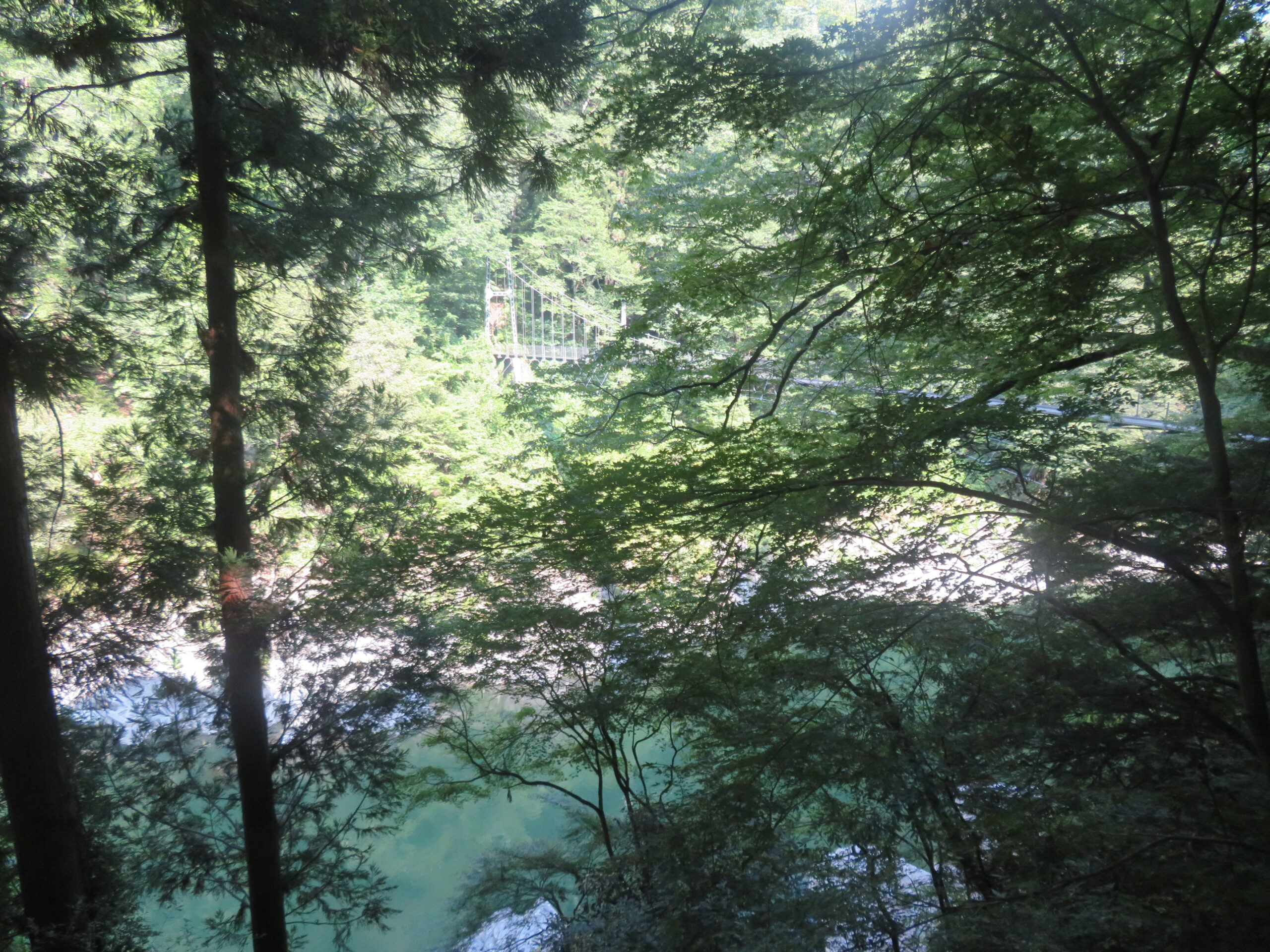 吊り橋の「つつじ橋」が見えました
