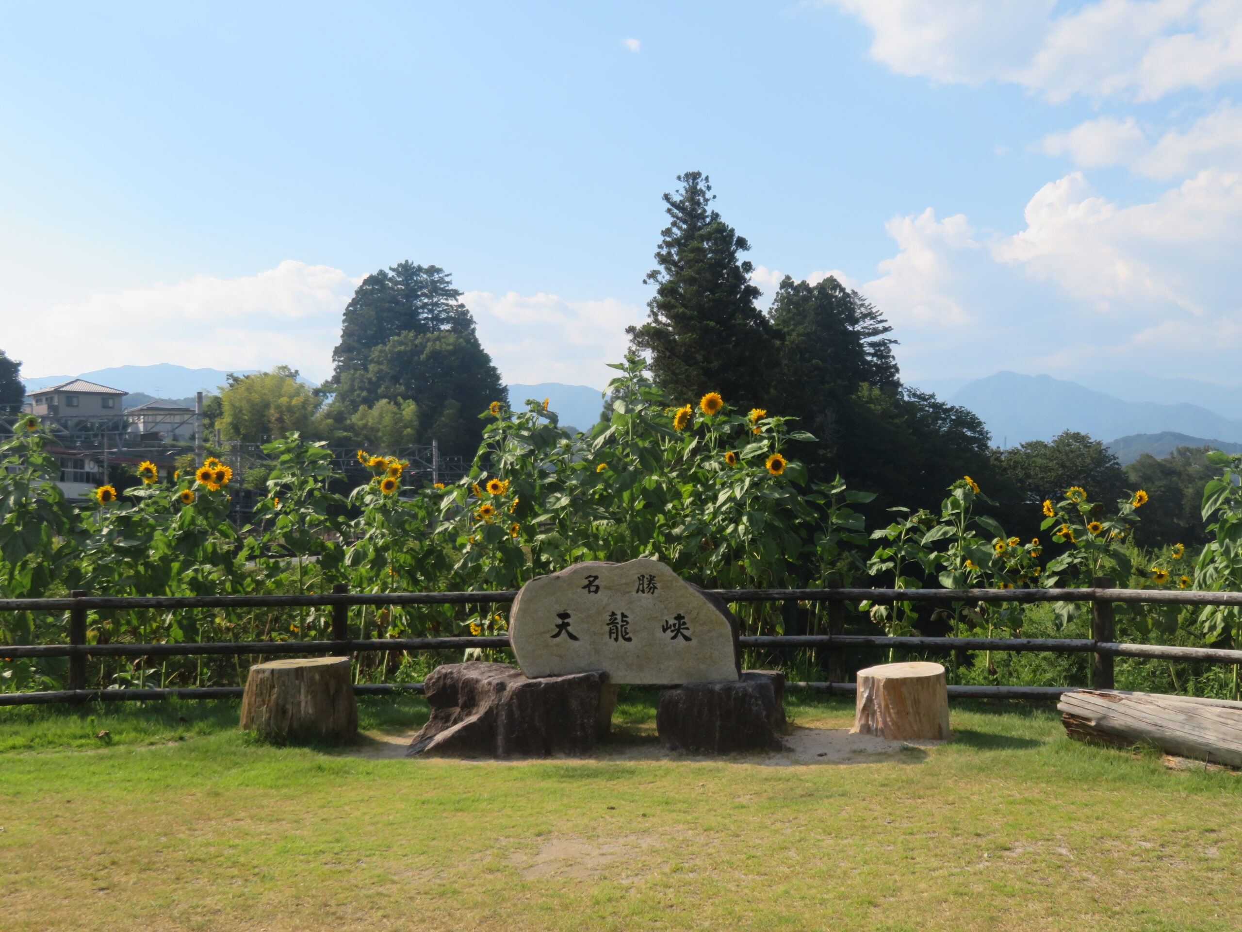 駅前の広場
