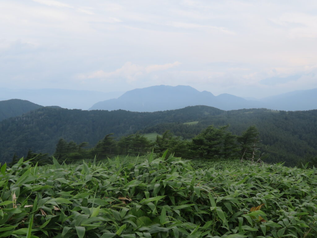 これは南木曽岳（なぎそだけ）ですね
父がおすすめの山にあげていました
いつか登りたいです！