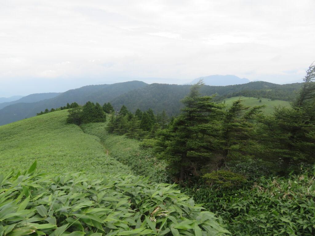 素晴らしい登山道が続きます