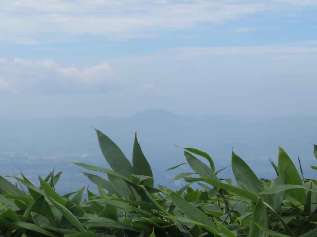 御嶽山？かなと思って調べたら、
春に登った伊吹山（滋賀県）でした！