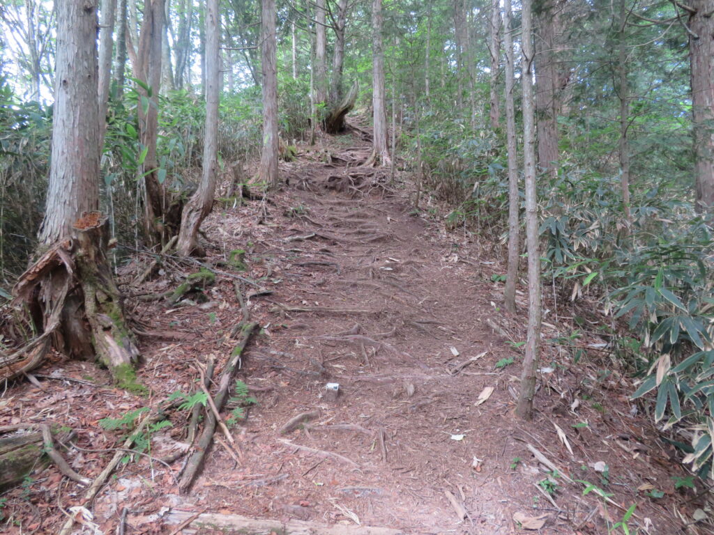 平坦な道が多いですが、
数ヶ所、急登があります