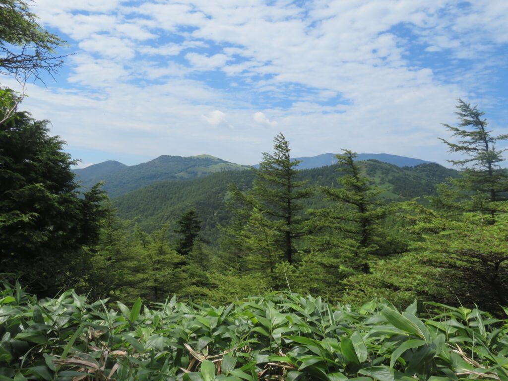 樹林帯を抜けると、
絶景が目の前に広がります！