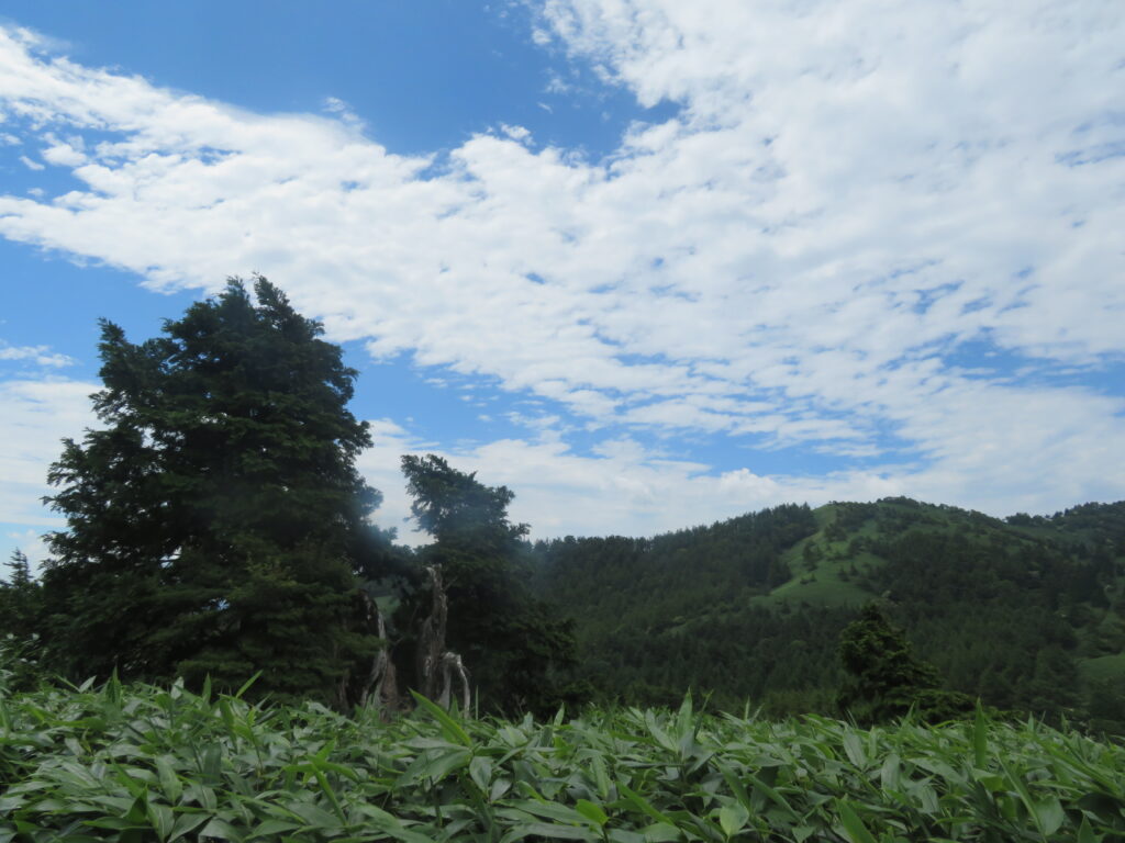 横川山と綺麗な空と雲