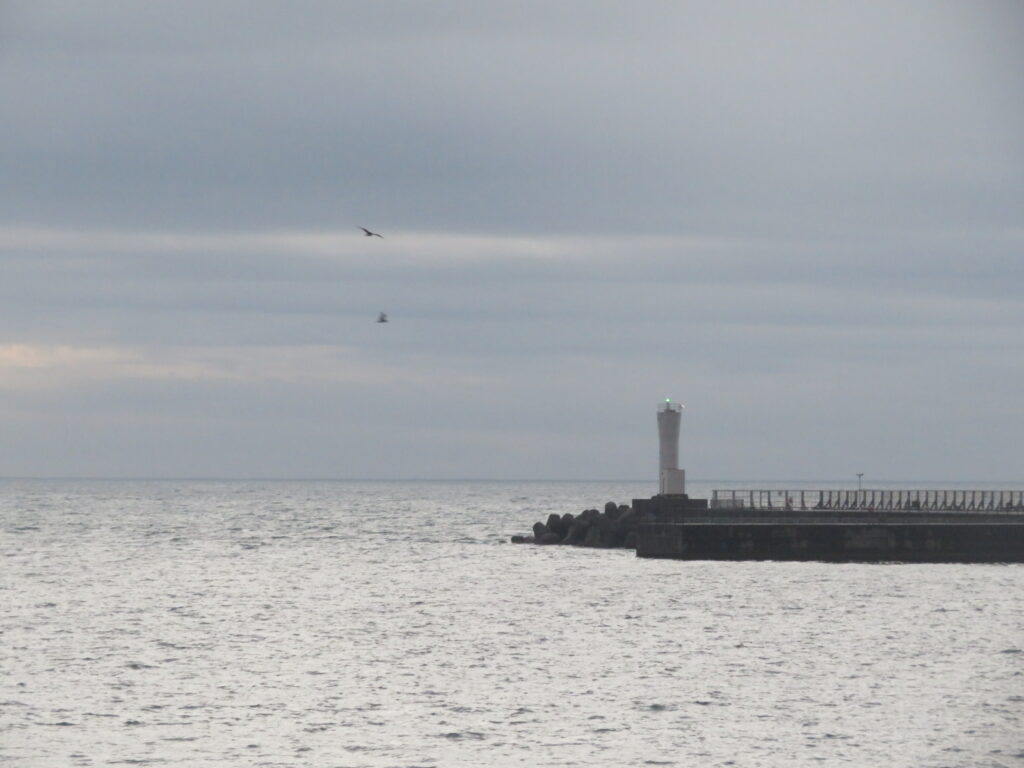灯台と海とカモメ