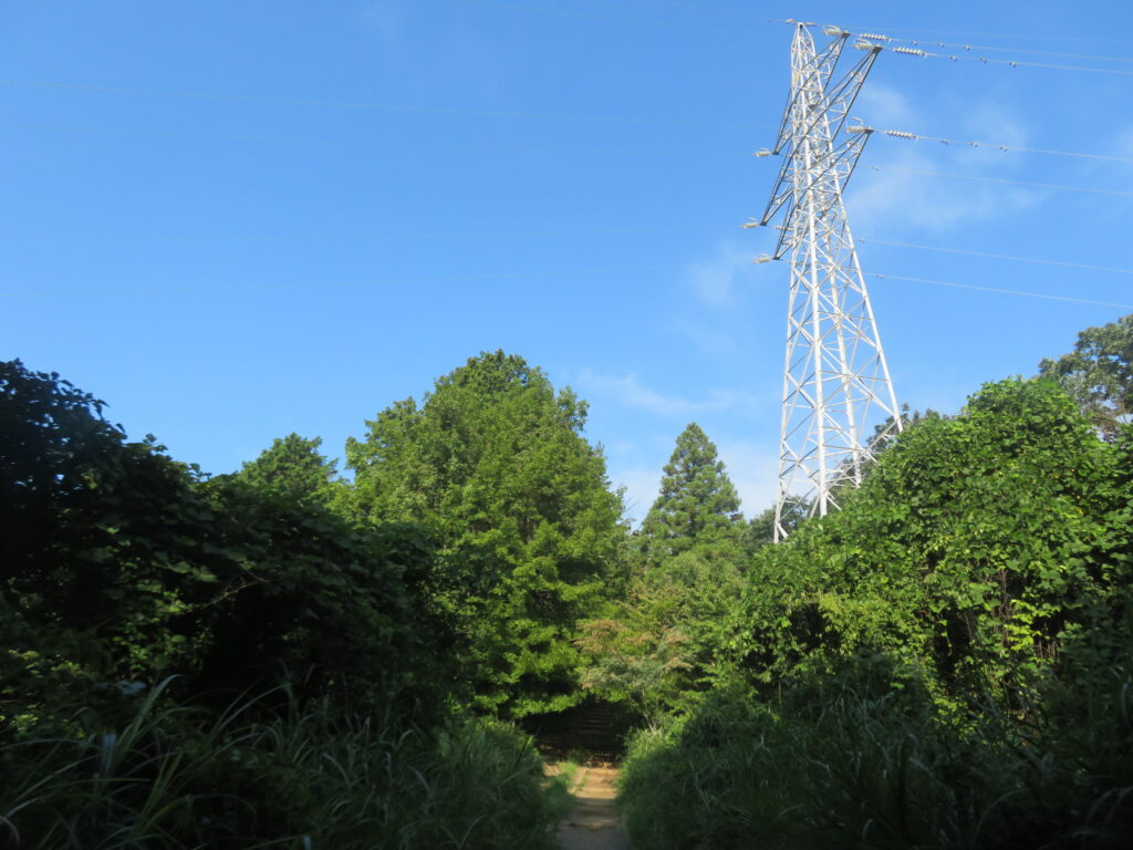 いつもの撮影場所