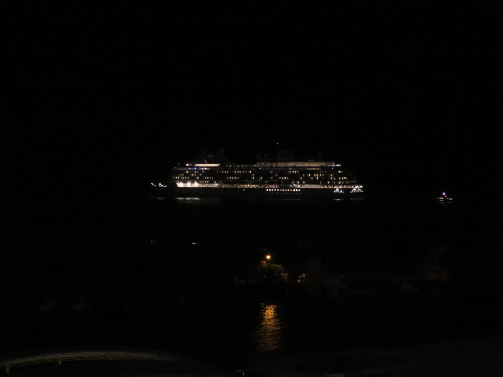 温泉と夕食を楽しんだあと、
夜8時、屋上の特設観覧席にきました!
先ほどの豪華客船