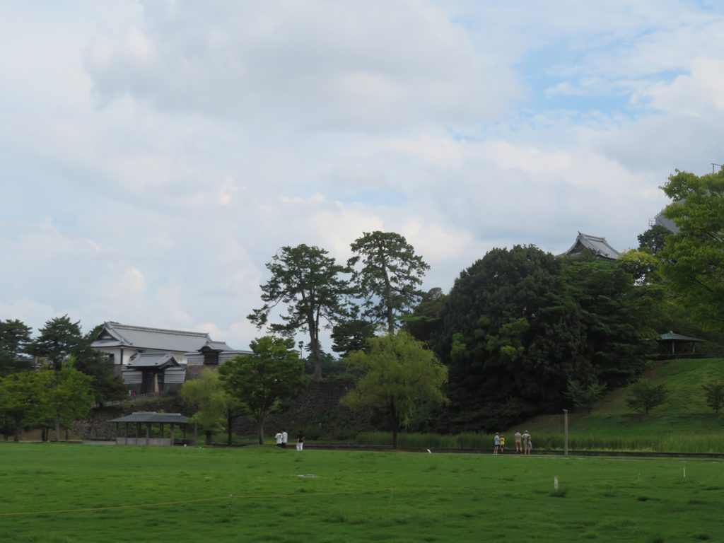 とても広い公園です