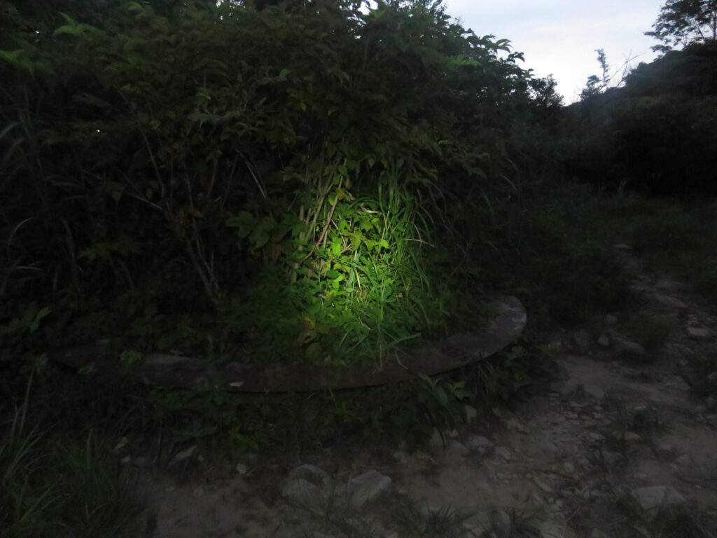 旧スキー場の上
リフトの残骸があります