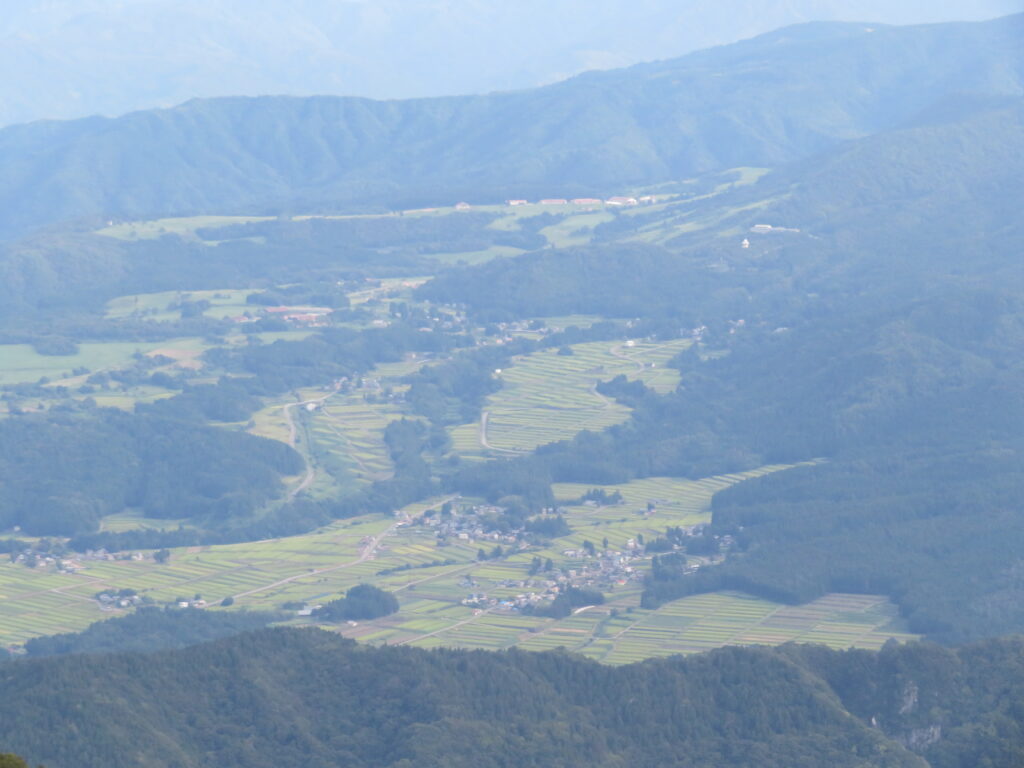 段々畑が素敵