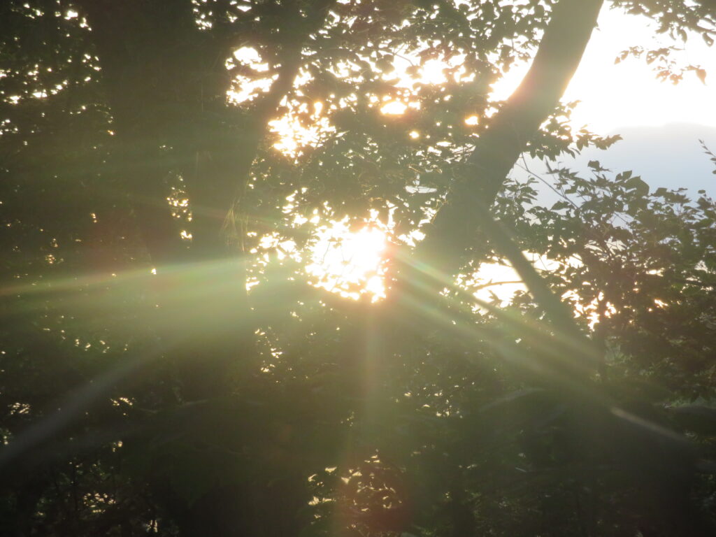 眩しい朝日