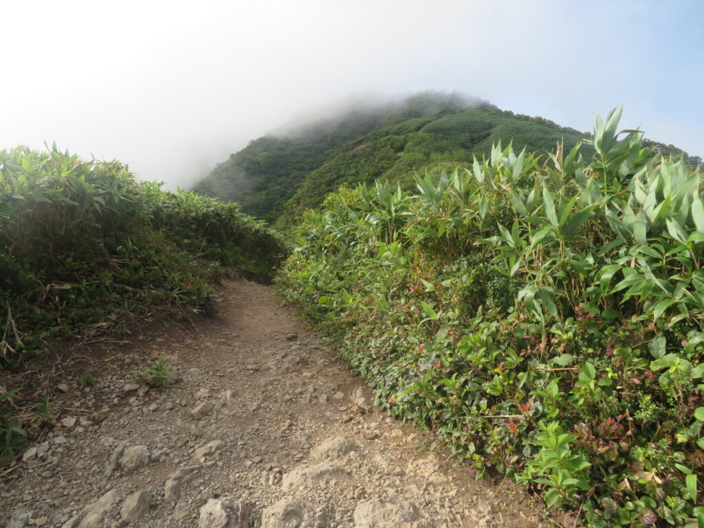 中荒島岳を過ぎて、山頂まであと少し