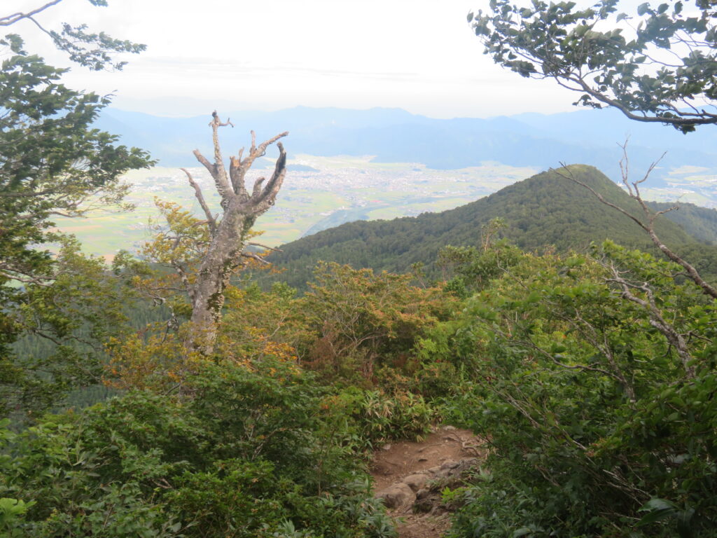 登ってきた稜線を振り返る