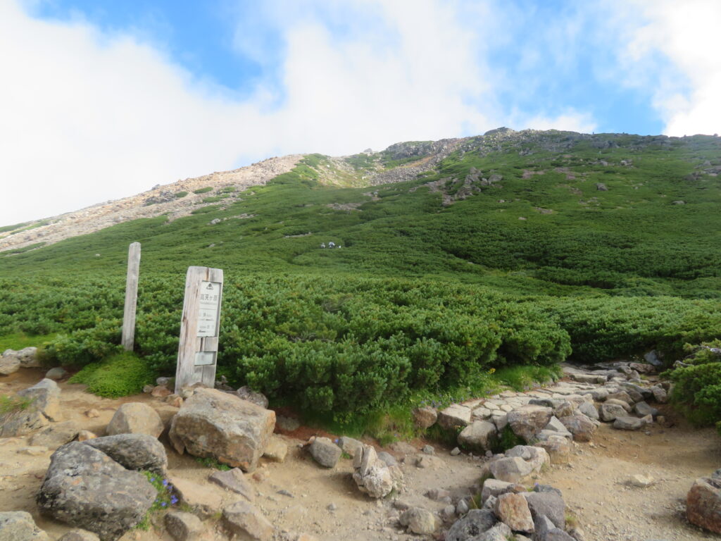 高天ヶ原
山頂まであと一息
