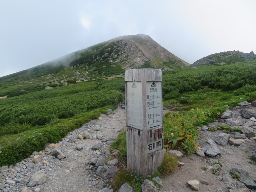 大汝峰との分岐
山頂まで700m
近そうな気もするが……
下山の体力が心配なのでパス